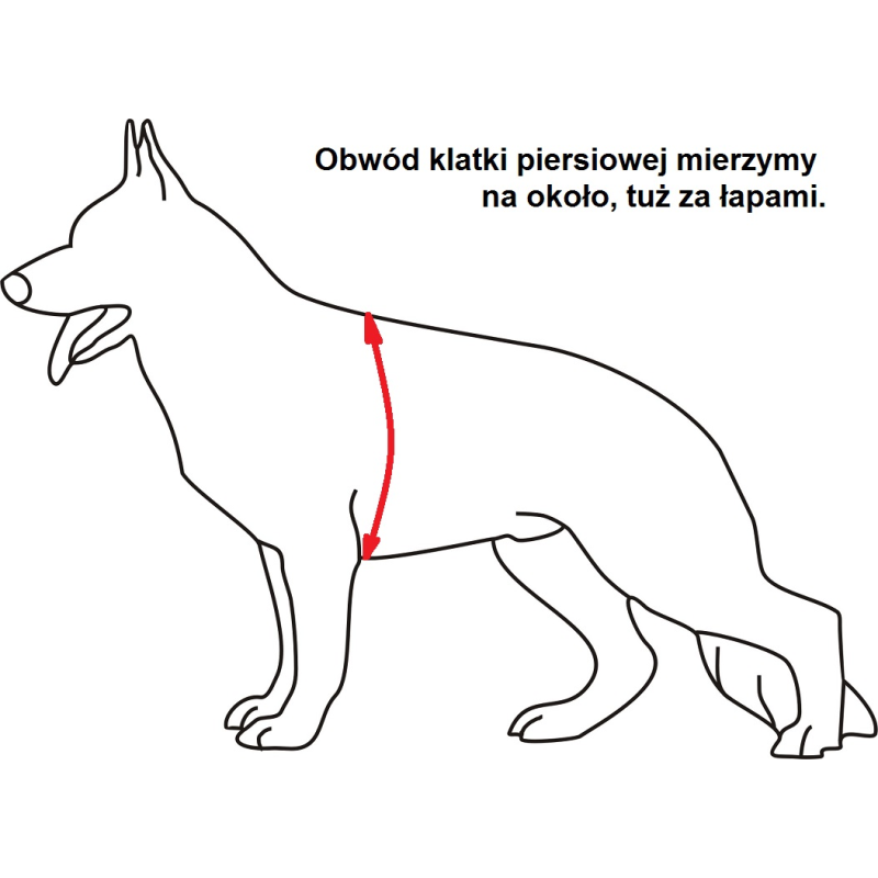 Uprząż taktyczna.