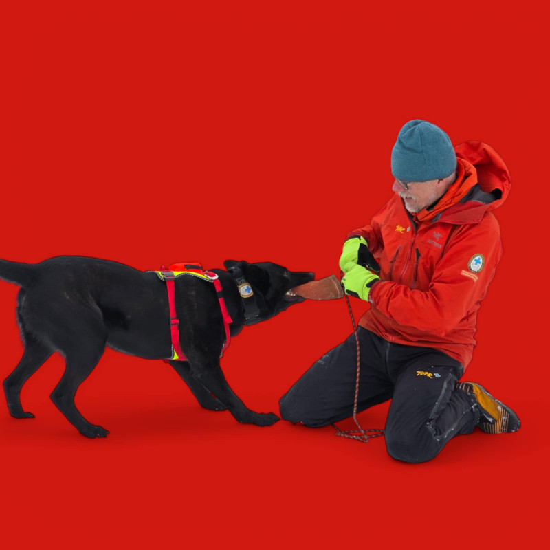 Szelki FOX / FOX harness Szelki FOX / FOX harness