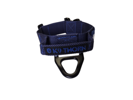 Obroża Cobra Bravo - Blue Line