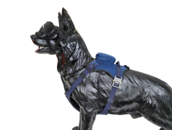 Szelki FOX / FOX harness