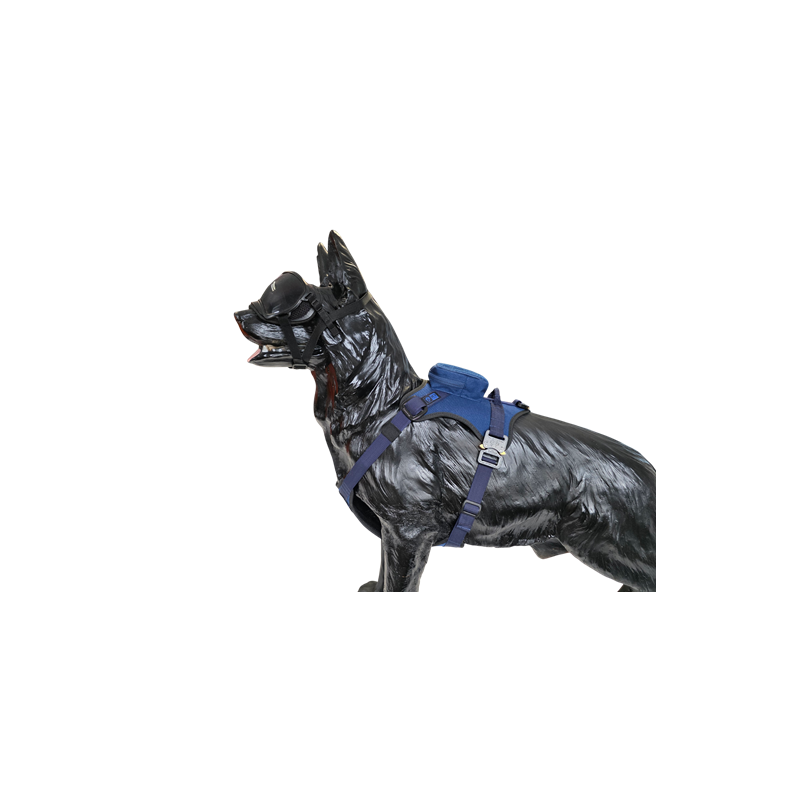Szelki FOX / FOX harness Szelki FOX / FOX harness