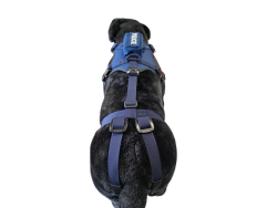 Szelki FOX / FOX harness