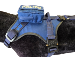 Szelki FOX / FOX harness