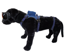 Szelki FOX / FOX harness