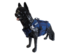 Uprząż taktyczna PLUS - Blue Line