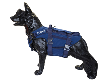 Uprząż taktyczna PLUS - Blue Line