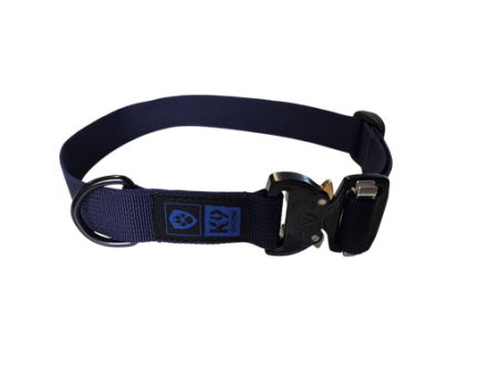 Obroża Cobra One - Blue Line