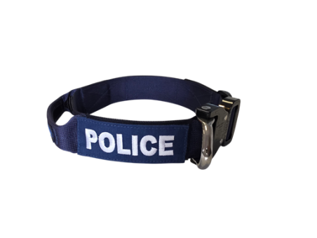 Obroża Cobra - Echo z rączką 38 mm - Blue Line