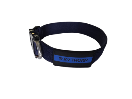 Obroża Cobra - Delta 38 mm - Blue Line