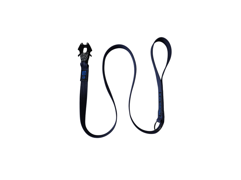 Smycz/lonża Hol - Frog Kong - Blue Line