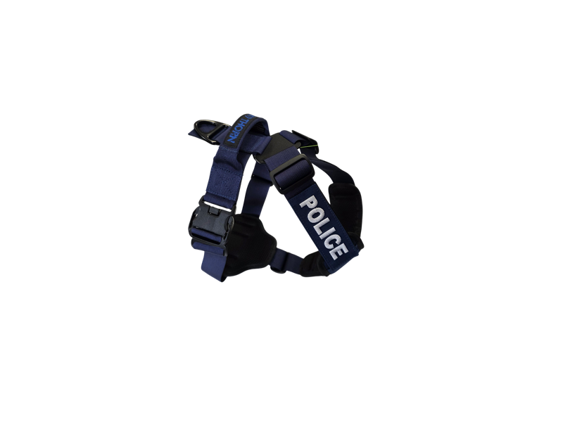 Szelki Charlie - Blue Line