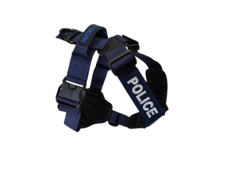 Szelki Charlie - Blue Line