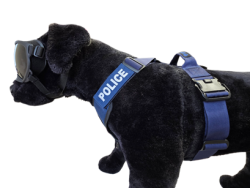 Szelki Charlie - Blue Line