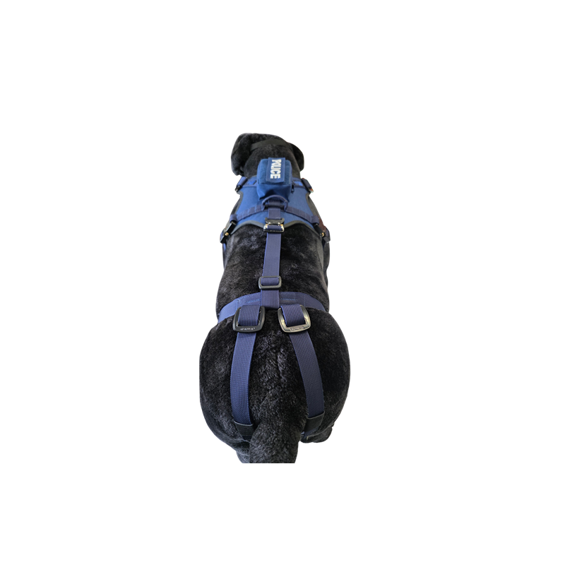 Szelki FOX / FOX - Blue Line Szelki FOX / FOX - Blue Line