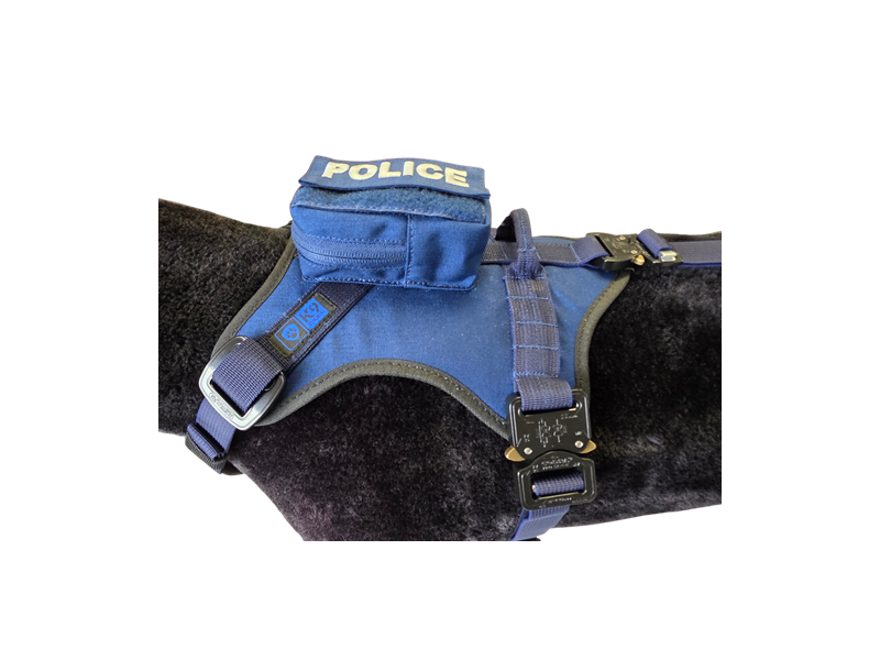 Szelki FOX / FOX - Blue Line