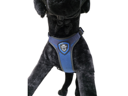 Szelki FOX / FOX - Blue Line