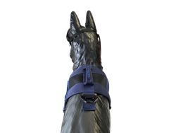 Szelki  Bravo - Blue Line