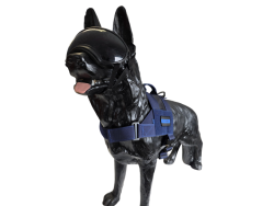 Szelki  Bravo - Blue Line