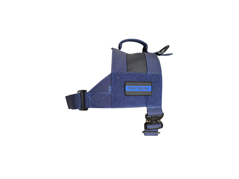 Szelki  Bravo - Blue Line