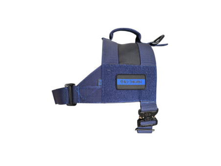 Szelki  Bravo - Blue Line