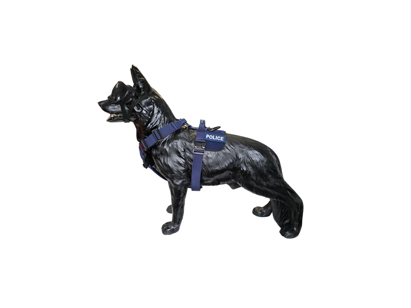 Szelki Delta - Blue Line