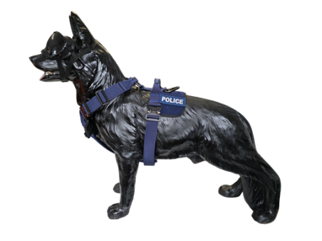 Szelki Delta - Blue Line